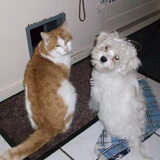 Kaily met onze kat Sam