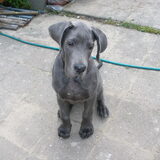 Hoe lief!! 14-05