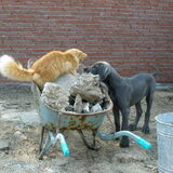 Spelen?? 14-05
