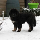 ongeveer 3mnd oud