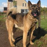 Foto van Shamilla & Zena