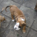 roxy weer :D