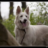 Foto van Hetty & Skipper