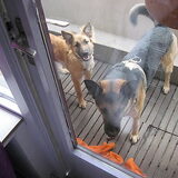 Samen heerlijk op het balkon aan het spelen... :)
