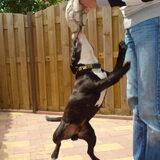 jumper...........