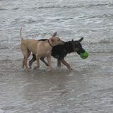 Foto van Nathalie & Max & Kira