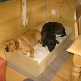 Dit het slaapplaatsje van Tommy en Max in Duitsland op de camping.