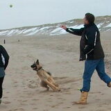 Naar het strand en met tennisballetjes spelen. Beter kan ik me niet…