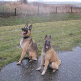 Samen met Denzel..de kleine drukte maker