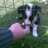 Onze eerste ontmoeting..