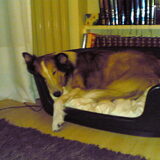 Foto van Miss Elli