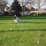 Spelen!