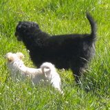 Samen met m'n grote zus Flappie, die goed over mij waakt ...