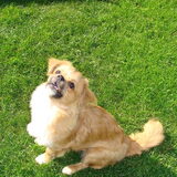Foto van Wendy