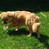 Foto van Wendy