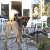 Foto van Shamilla & Zena