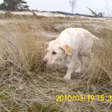 Foto van Marjolein en Noa en kleine Levi