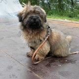 mooie pup ;-)