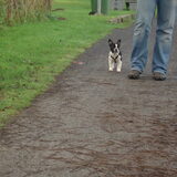 Op wandel