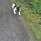 Op wandel