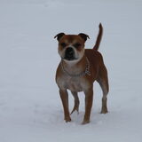 Foto van Maris