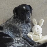 Sam met haar nieuwste knuffel.