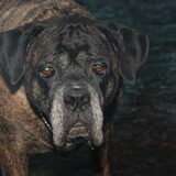 Foto van ramona