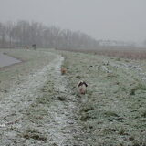 Luna en Turbo zien op afstand vriendjes daar moeten ze naar toe.