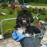 mee op de fiets naar opa en oma