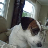 Foto van thea