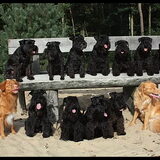 Met z'n alle