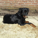Foto modelletje