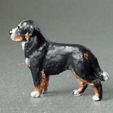 berner sennen