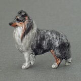 sheltie