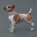 jack russel