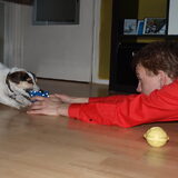 Wie gaat er winnen??