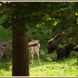 Foto van De Mecheltjes clan