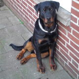 Foto van mayke