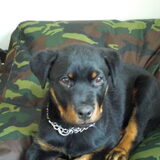 stoere mat..