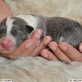 Kiki hier 2 dagen oud