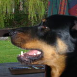 Foto van Peter