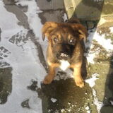 Foto van Tessa&Rexy