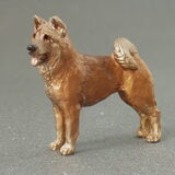 Akita Inu