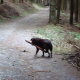 Ardennen