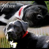 Foto van Marijke&Yarco&Milou<3