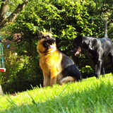 samen