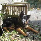 Boyk 9 mnd, al echt een grote jongen