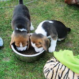 mmm eten! (links Baileyy!)