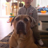 Foto van nicole & rocky , Bickel en max