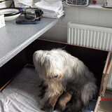 dit is mama Linde